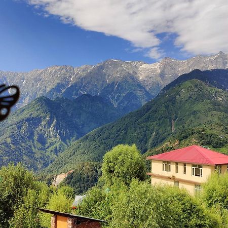 Sahaj Homestay Naddi Dharamshala Luaran gambar