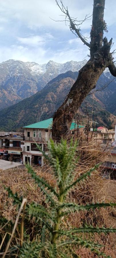 Sahaj Homestay Naddi Dharamshala Luaran gambar