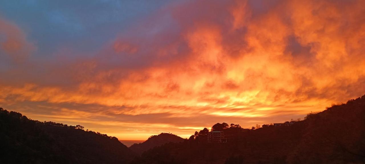 Sahaj Homestay Naddi Dharamshala Luaran gambar