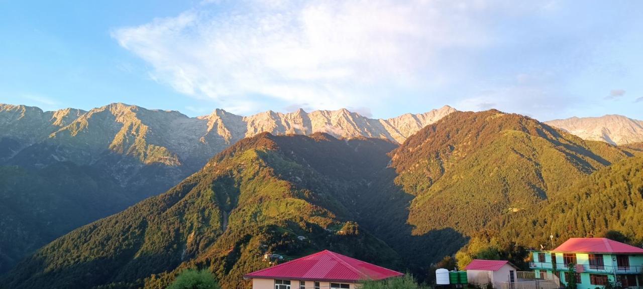 Sahaj Homestay Naddi Dharamshala Luaran gambar