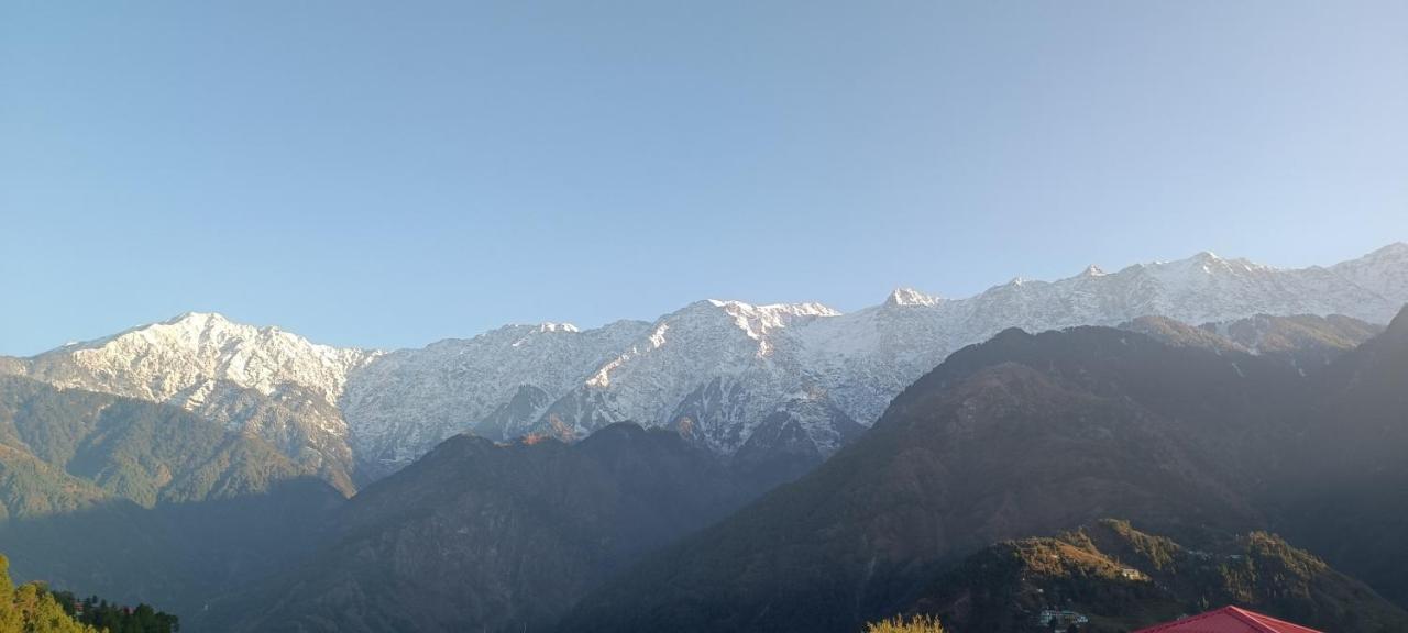 Sahaj Homestay Naddi Dharamshala Luaran gambar